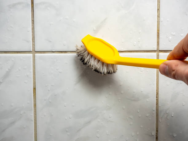 Best Bathroom Mold Remediation in Goshen, CA