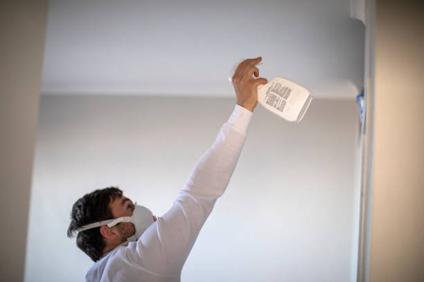 Best Residential Mold Remediation in Goshen, CA