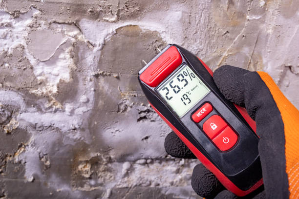 Best Crawl Space Mold Remediation in Goshen, CA