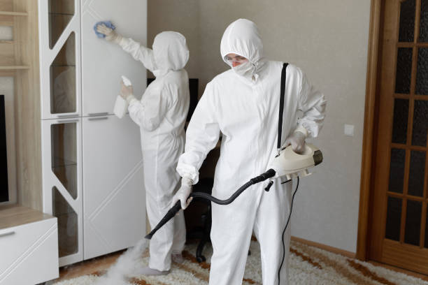 Best Attic Mold Remediation in Goshen, CA