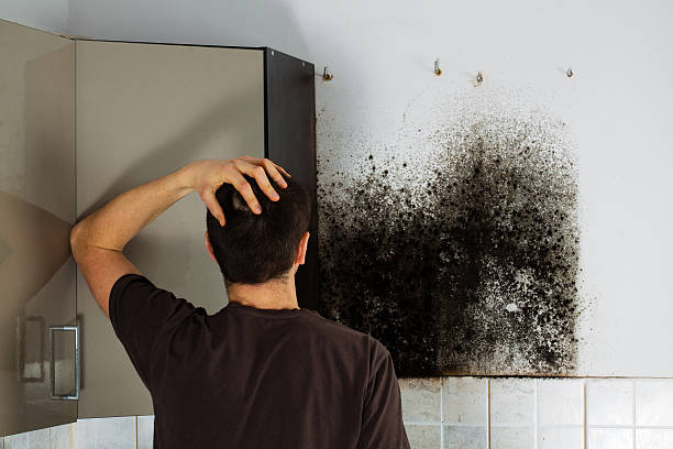 Best Industrial Mold Remediation in Goshen, CA